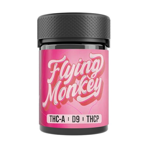 Flying Monkey